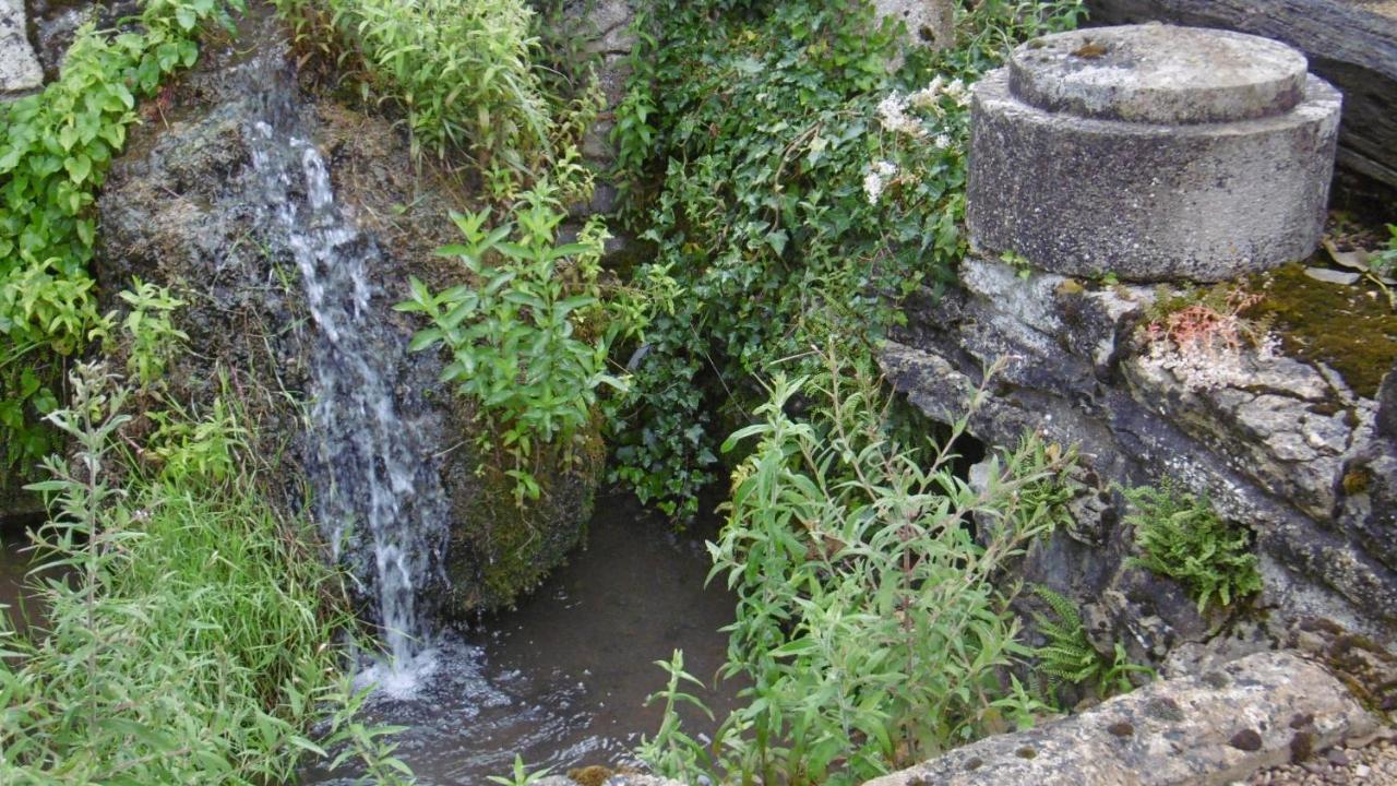 Gite Ancien Lavoir Viserny Eksteriør bilde
